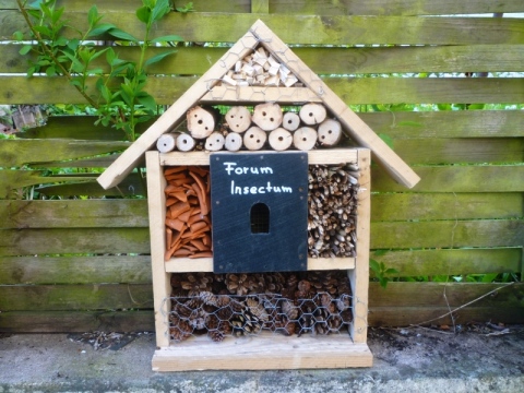 Mein Insektenhotel "Forum Insectum"