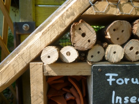 Mein Insektenhotel "Forum Insectum"