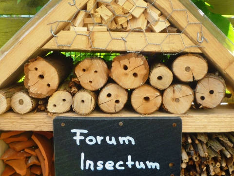 Mein Insektenhotel "Forum Insectum"
