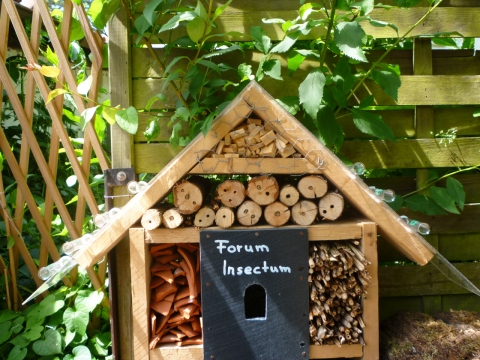 Mein Insektenhotel "Forum Insectum"