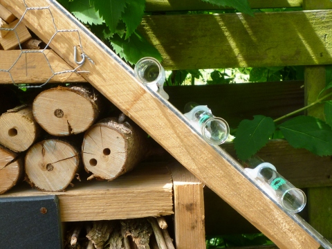Mein Insektenhotel "Forum Insectum"