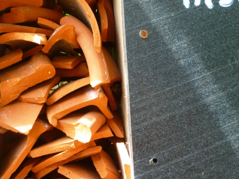 Mein Insektenhotel "Forum Insectum"