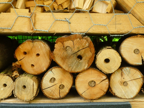 Mein Insektenhotel "Forum Insectum"